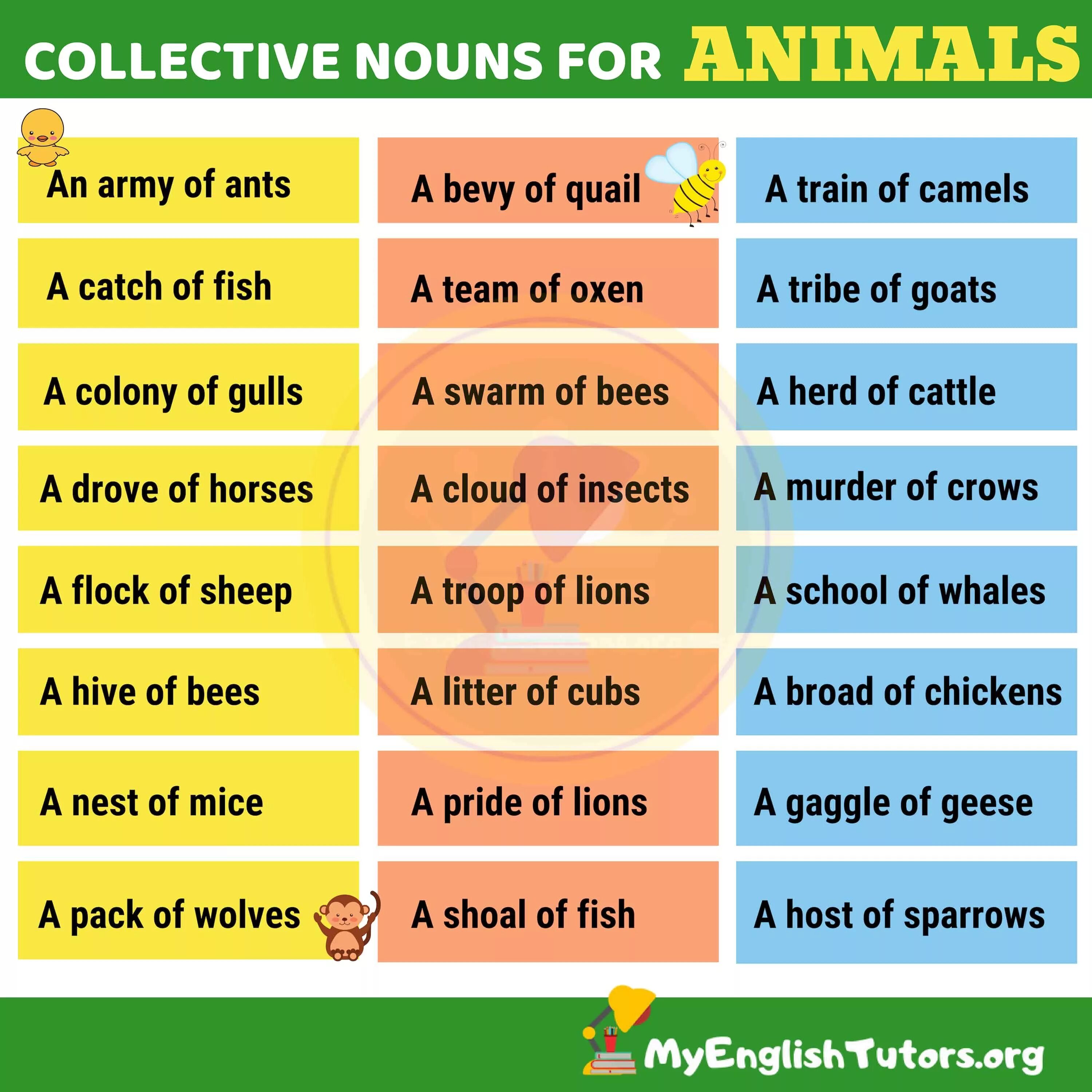 Collective Nouns в английском. Group Nouns в английском языке. Collective Nouns список.