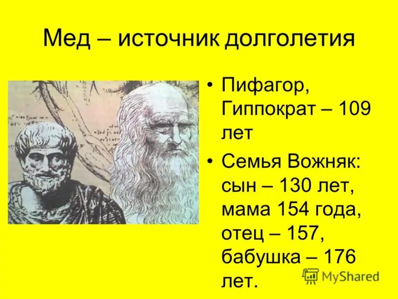 Пифагор и Гиппократ. И́сточник долголетия. Мед Автор рассказ. Фото мамы и отца Пифагора.