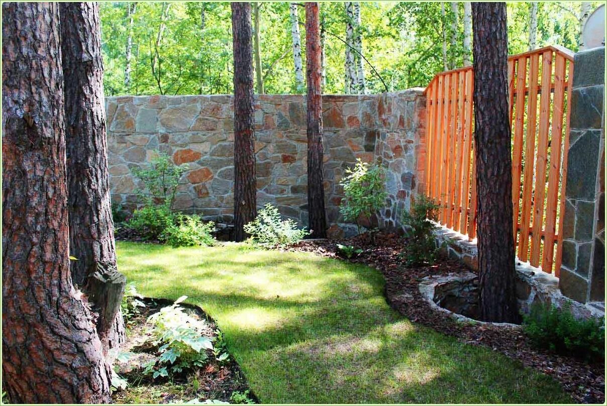 Земля между деревьями. Деревья для сада. Солитер озеленение. Пальметта яблоня. Земля между деревьями.