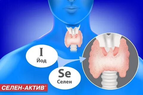 Йод хе