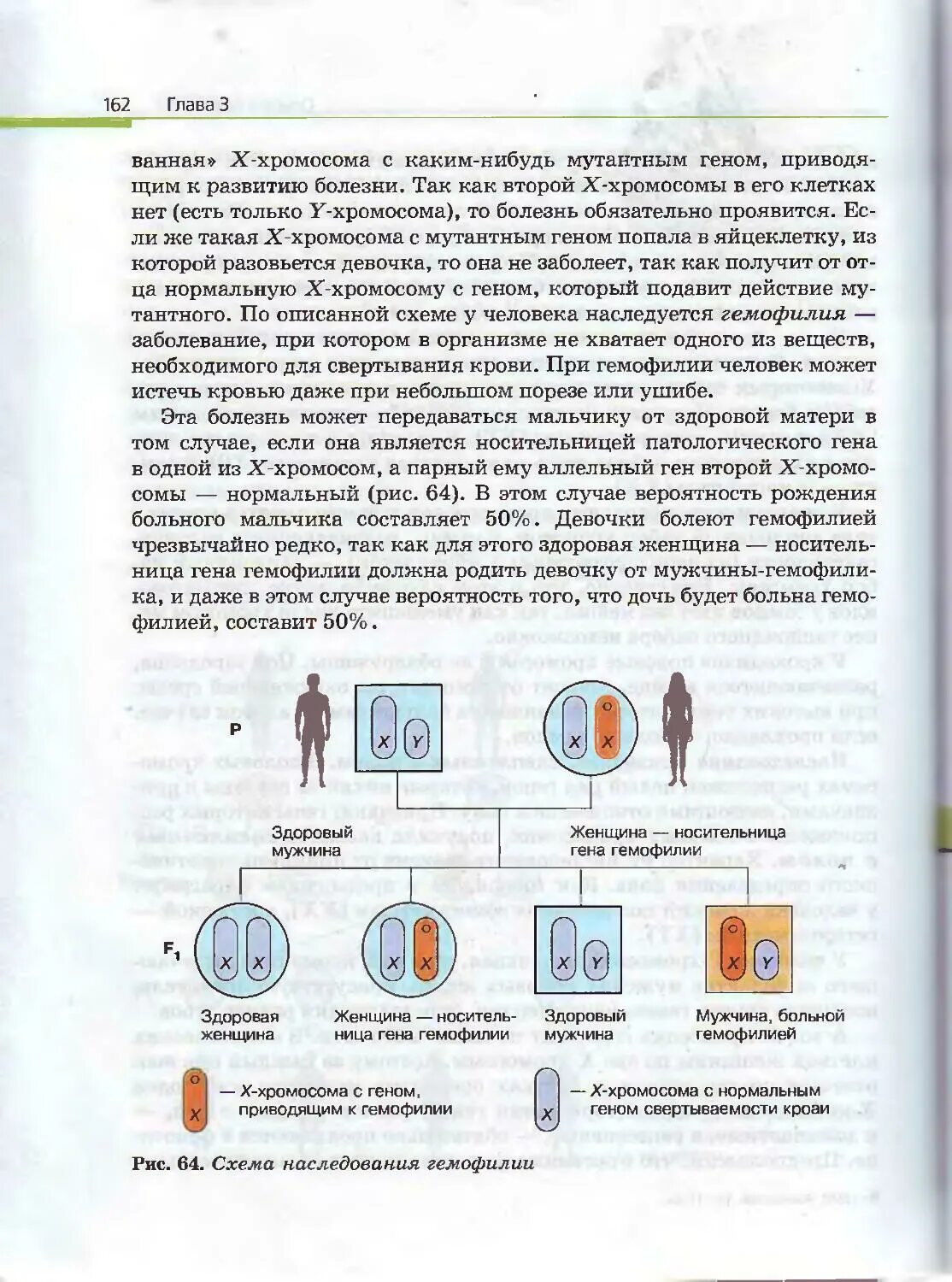 Учебник биологии 11 класс пасечник каменский. Биология 10-11 класс учебник Каменский. Биология 10-11 класс учебник. Учебник биологии 10-11. Биология 10 класс учебник Каменский.