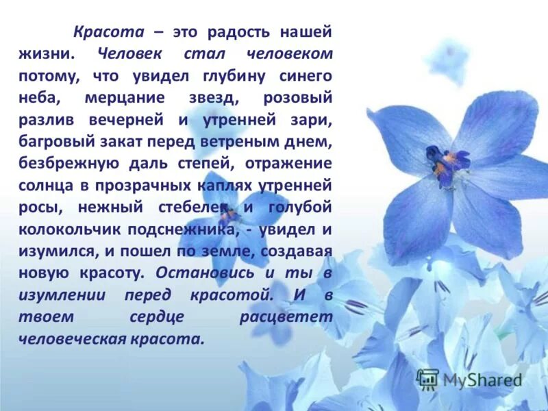 Напишите сочинение рассуждение что дает человеку красота. Что такое красота сочинение. Сочинение на тему красота. Мини сочинение что такое красота. Небольшое сочинение на тему красота вокруг нас.