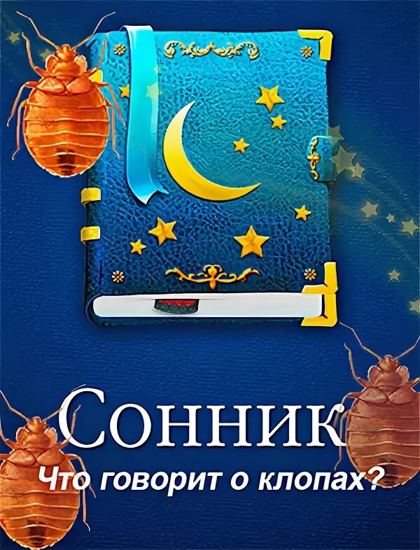 К чему снятся клопы во сне. Клопы сонник толкование. Сонник клопы во сне к чему снится.