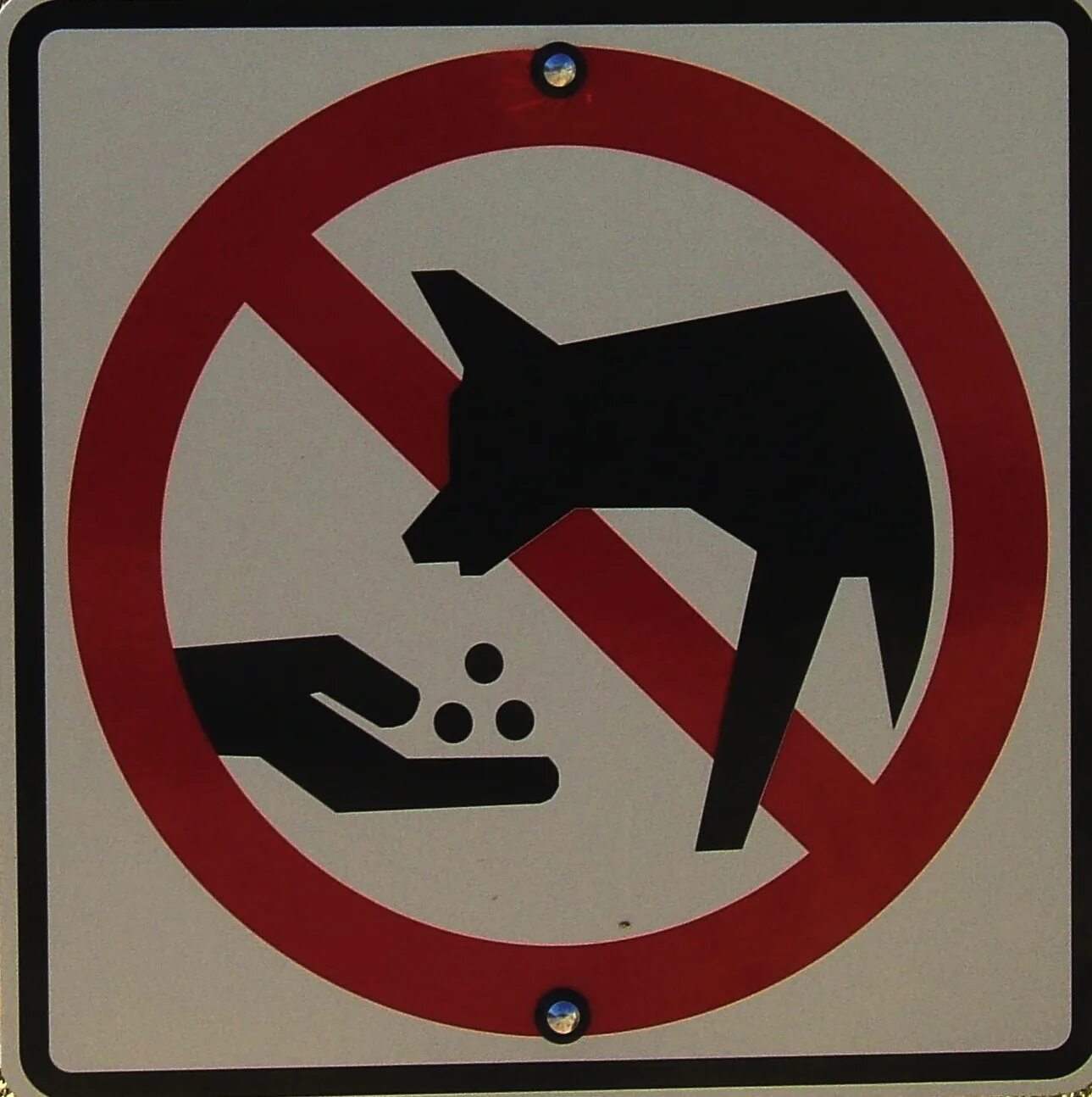 Знак можно трогать. Животных не кормить. Знак животных. Запрещающие таблички в зоопарке. Предупреждающие таблички.