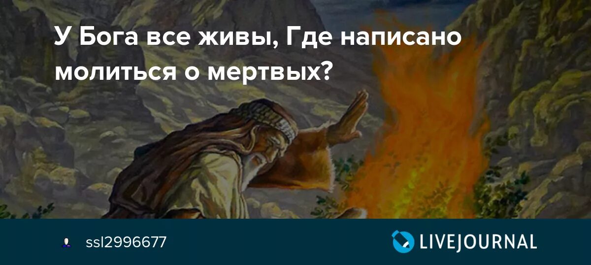 Бог не есть бог мертвых но бог живых. У бога все живы. У бога все живы открытки. Бог не есть бог мертвых. Цитаты из евангелия от луки.