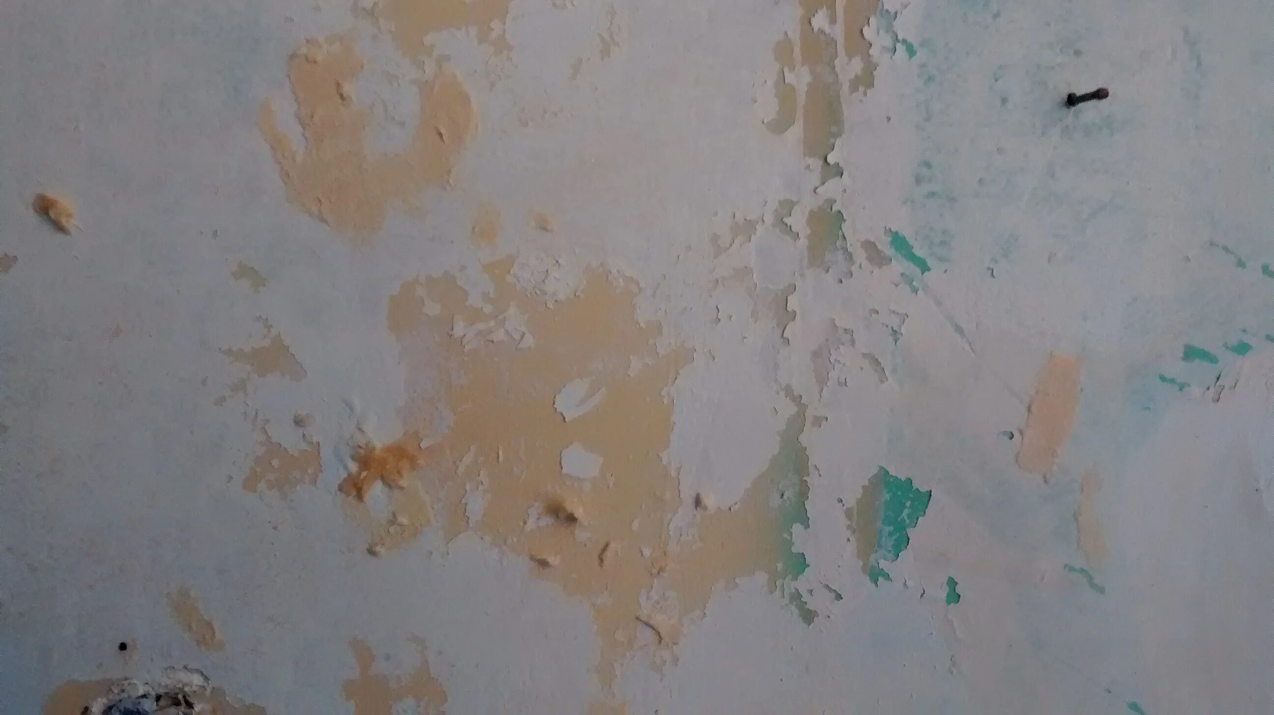 Пятна под обоями. Отслоилась краска на стене. Дефекты покраски стен. Краска для неровных стен. Пятно краски на стене.