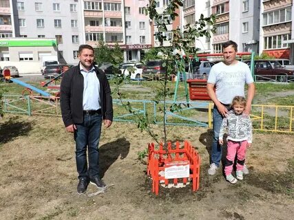 Проект сад победы в детских садах