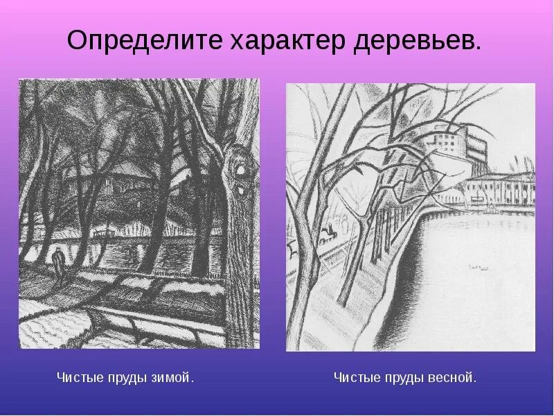 Изо презентация характер линий. Характер линий в рисунке. Выразительные возможности графических материалов 2 класс. Характер линий дерево. Урок изо выразительные возможности линии.