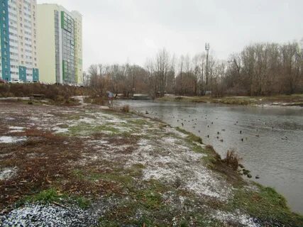Погода инорс
