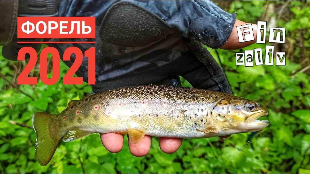 Рыбалка в Ленинградской области 2021. Forsage River Master 1-8 g. Forsage River Master s-6 6 198cm 1-8 g. Forsage River Master s-6 6 198cm 1-8.