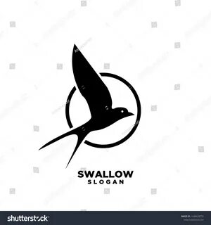 Swallow перевод