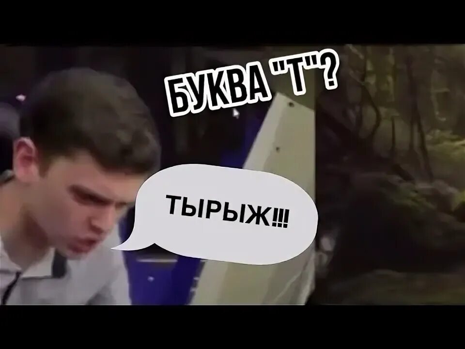 Оранжевый табби кот. Титан гд тырыж. Тырыж. Тырыж. Тырыж.