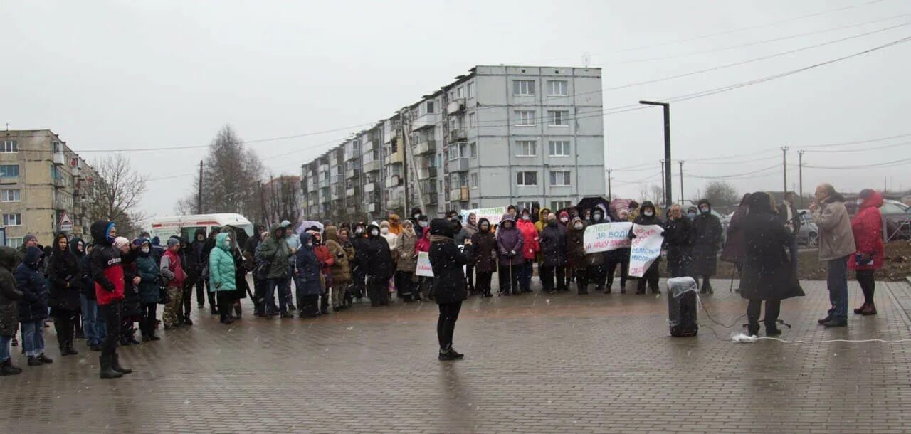 Дом культуры Оржицы. Оржицы школа Ломоносовский район. Погода в Оржицах.