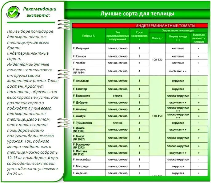 Таблица подкормки томатов в теплице. Таблица подкормок тепличных томатов. Таблица для выращивания сортов томатов. Таблица подкормки огурца в теплице. График подкормки томатов