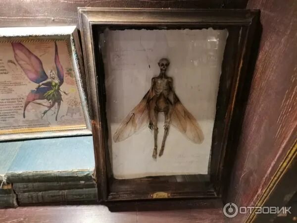 Музей Бестиарий в Санкт-Петербурге, музей фантастических и мифических созданий
