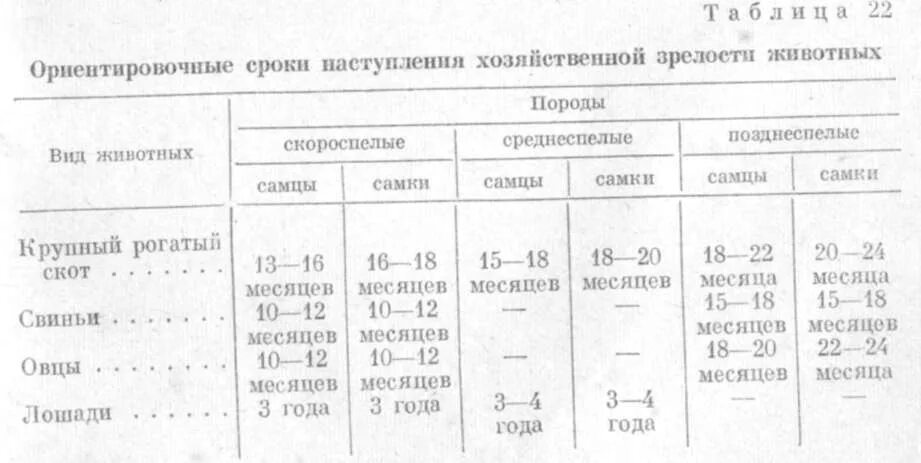 Половое созревание у млекопитающих