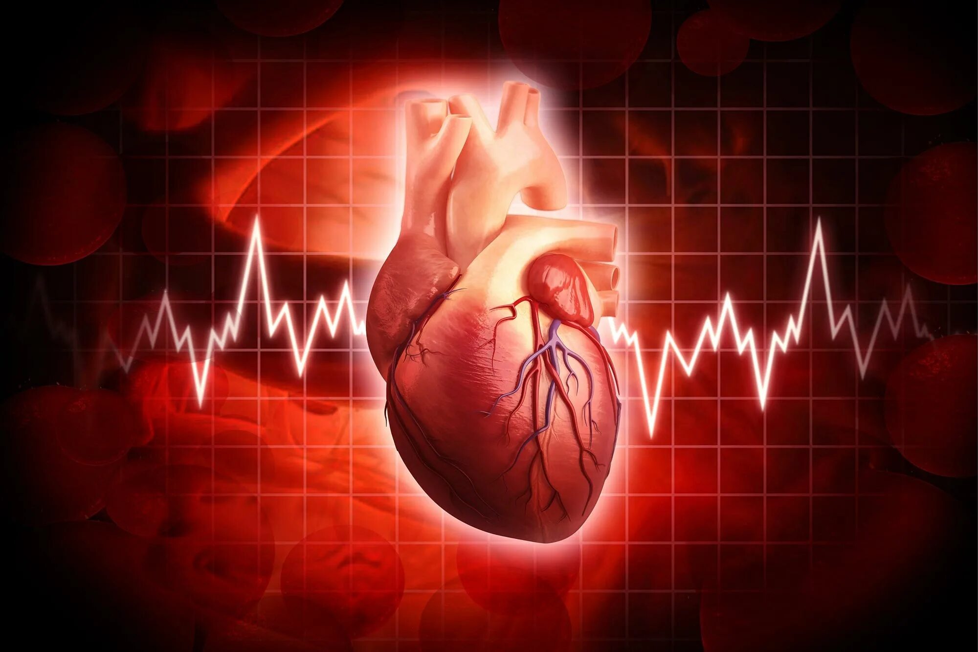 Сердцебиения 27. Биение сердца. Пульс сердца. Сердце с сердцебиением.