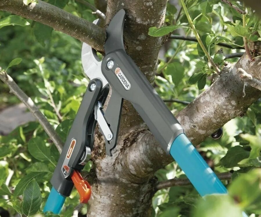 Удлиняем секатор. Сучкорез Gardena SMARTCUT. Секатор Gardena Comfort. Gardena 8773-20. Gardena штанговый секатор.