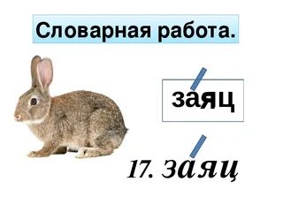 Опорные слова зайца 1 класс окружающий мир