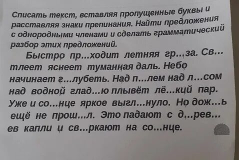 Диктант летом мы ходим из деревни