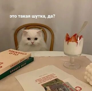 Если бы котики были