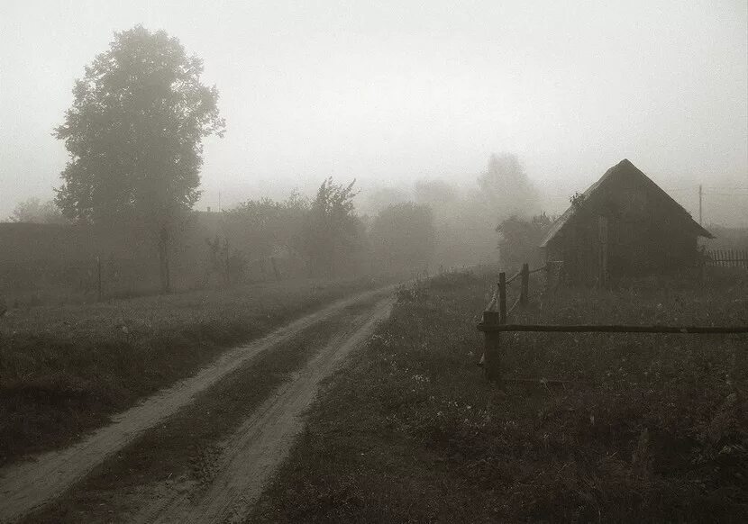 В деревне было темно. Мрачная деревня. Деревня в тумане. Серая деревня. Заброшенная деревня в тумане.