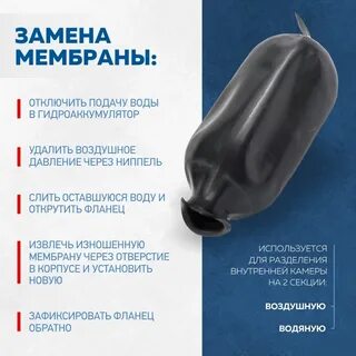 Мембрана л