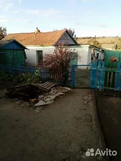 Погода х прогной