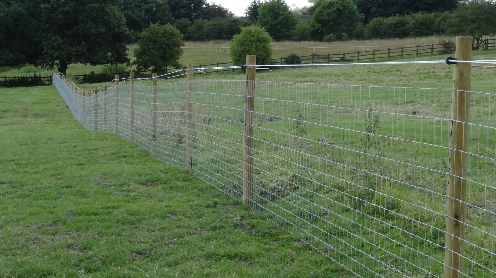 Сетка шпалерная для клематиса. Сетка-рабица оцинкованная 50 50. Сетка заборная гранд лайн оцинкованная. Бетбум дача сетка 2024. Загон из сетки рабицы.