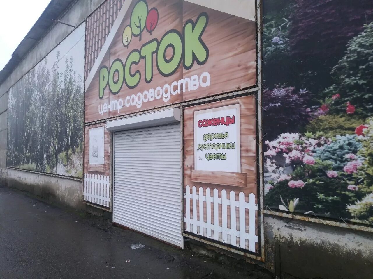 Магазин росток иваново. Росток иваново. Садовый центр росток в курске. Росток екатеринбург. Росток магазин семян.