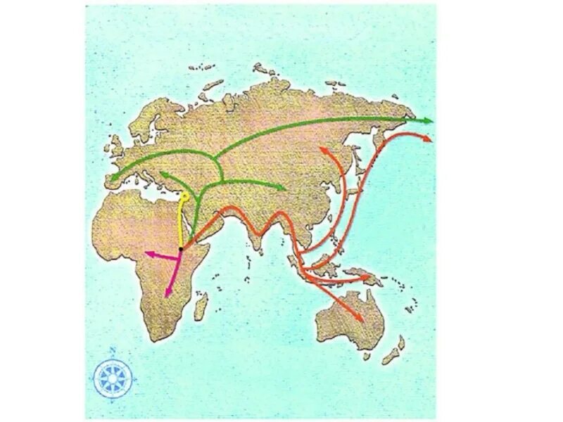 Расселение и миграция. Миграция хомо сапиенс. Карта миграции древних людей. Карта расселения людей. Заселение земли человеком.