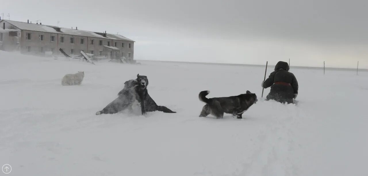 Мыс шмидта поселок городского типа. Мыс шмидта чукотка. поселок мыс шмидта. мыс шмидта село рыркайпий. рыркайпий поселок на чукотке.