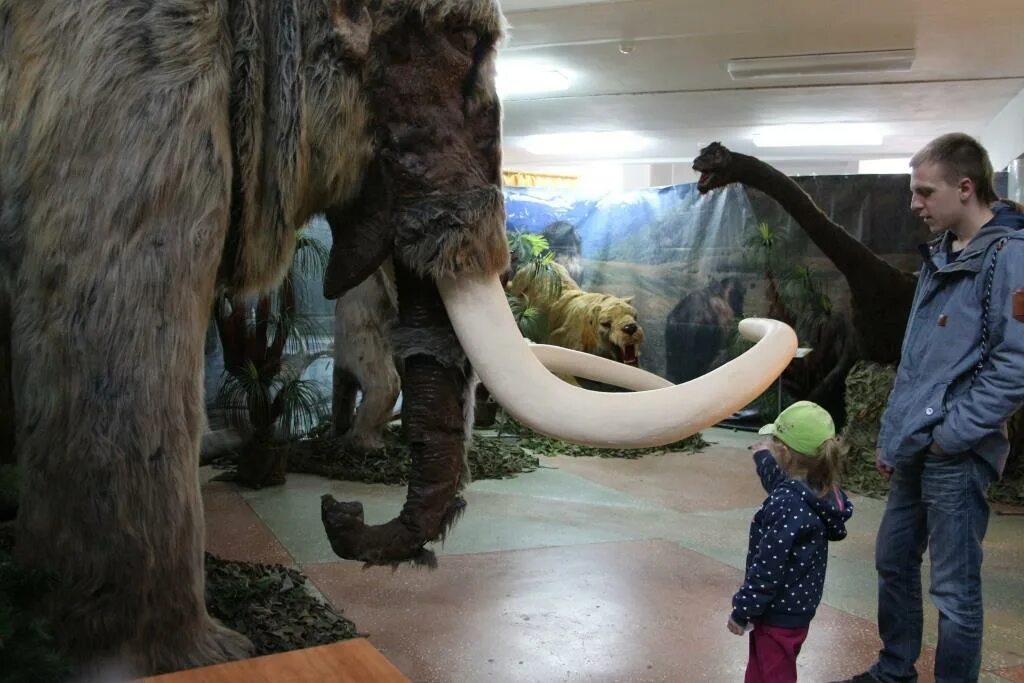 Выставка движущихся гигантов ледникового периода. Музей шадринск гиганты ледникового периода. Движущиеся гиганты. Выставка движущихся драконов. Гиганты ледникового периода ввс.