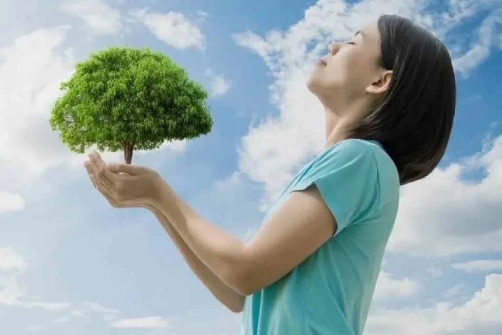 Чистый воздух. Чистота воздуха. Свежесть воздуха. Растения и человек. Деревья лучше очищающие воздух