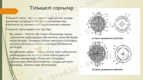 Смотреть өзбек порно онлайн