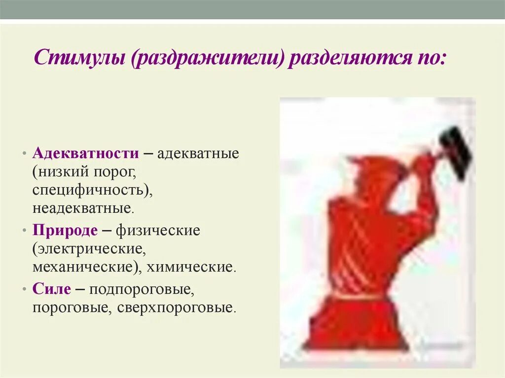 Раздражители бывают. Неадекватные раздражители примеры. адекватность раздражителя. адекватный раздражитель это в физиологии. адекватные и неадекватные раздражители в физиологии.