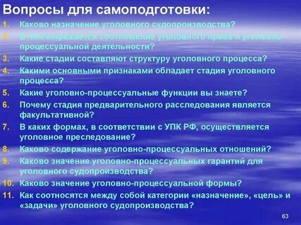 Уголовно процессуальная деятельность правоохранительных органов