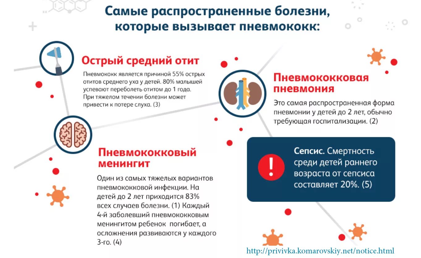 Пневмококк сколько прививок. Пневмококковая инфекция прививка. Прививка против пневмококковой инфекции детям. Самые распространенные болезни. Вакцинация от пневмококка памятка.