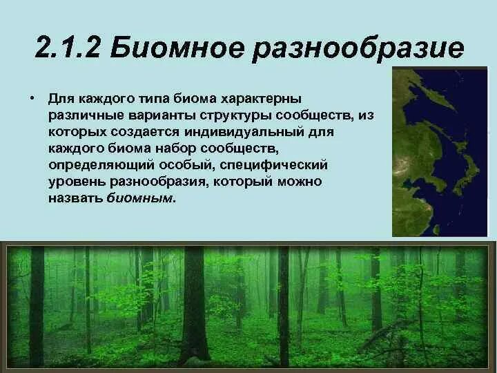 Сохранение биоразнообразия экосистем. Сохранение биоразнообразия экосистем