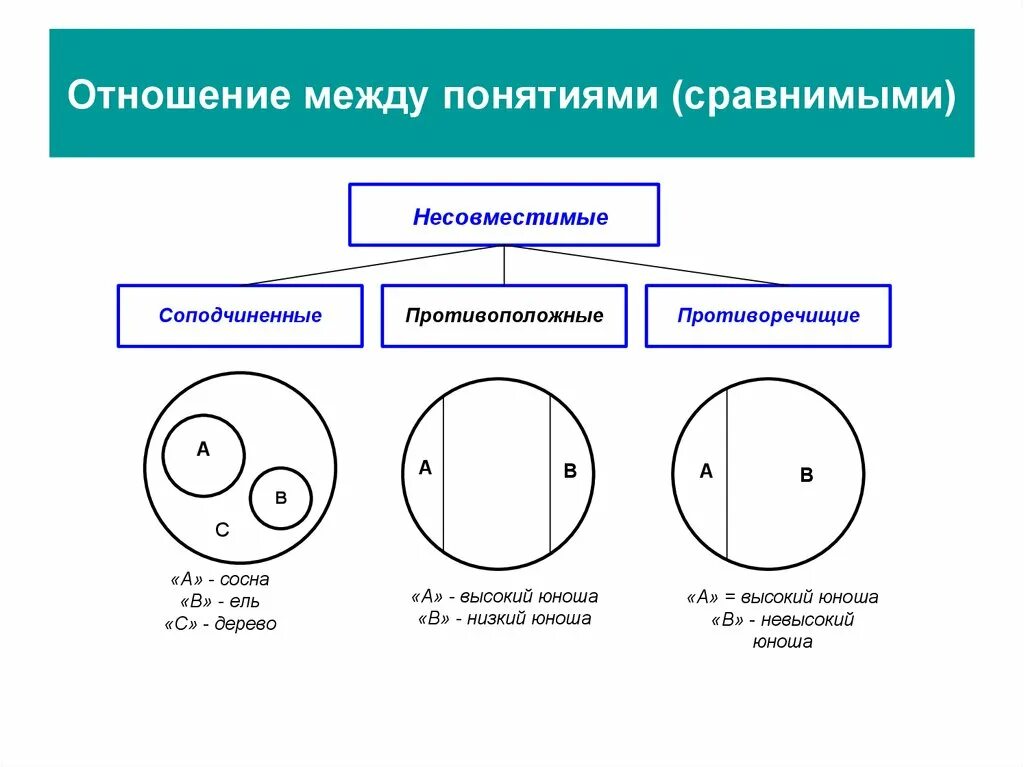 Схемы круги Эйлера: отношения между понятиями. Отношения между понятиями круговые схемы Эйлера. Обобщенная схема отношений между понятиями. Отношения между понятиями в логике схема. Сравните отношения между