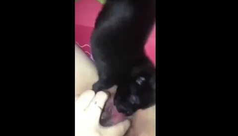 Thà cho chó bú lồn vì mất lòng tin với đàn ông. phim sex chau âu. 