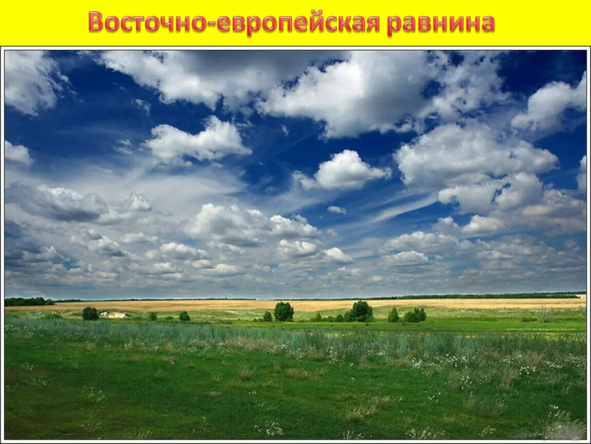 Ровный или почти ровный участок земной поверхности. Равнина. Российская равнина. Восточно-европейская равнина Холмистая. Изображение равнины.