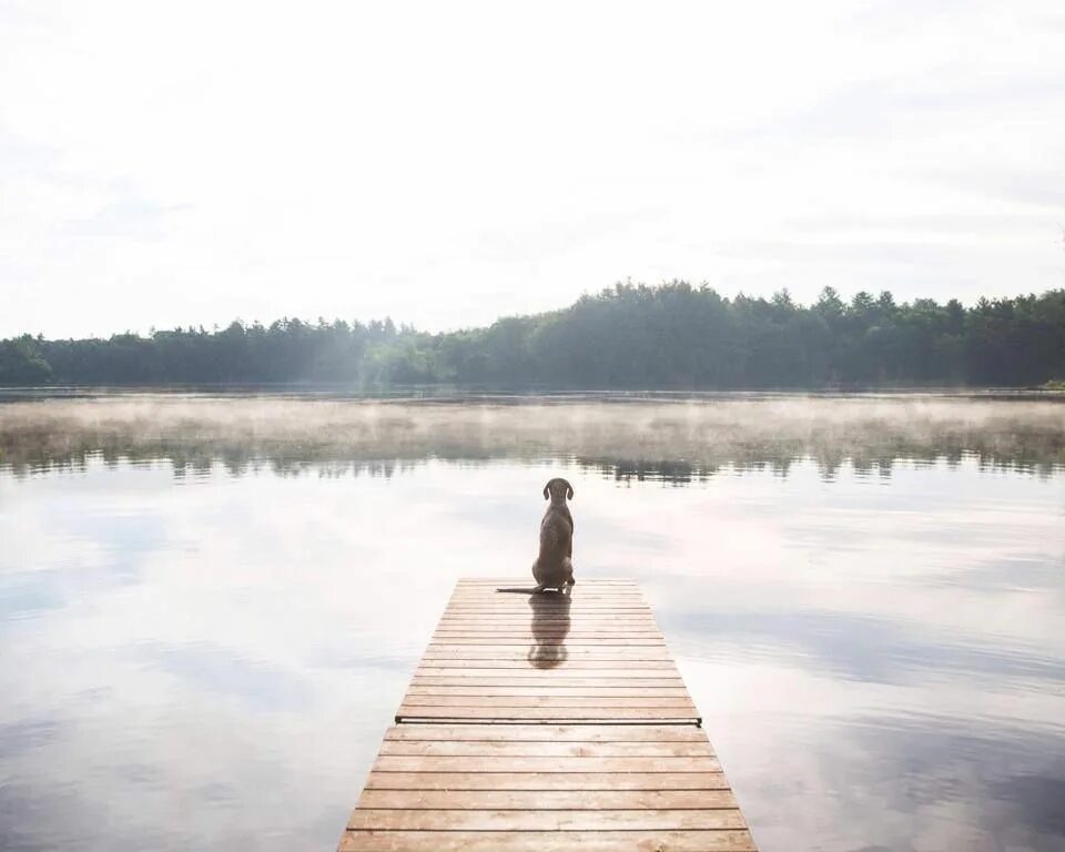 Want to go the lake