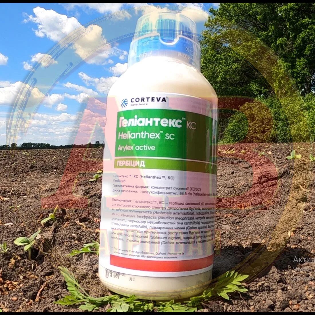 Трибун стс гербицид. Аргамак гербицид. 5 гербицид. Гербицид мастер пауэр по кукурузе 1 литр. Гербицид гелиантекс кортева.