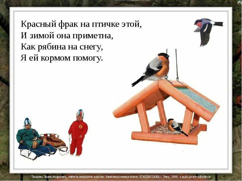 Экологический час "Что мы знаем о зимующих птицах?" 2022, Азнакаевский район - д