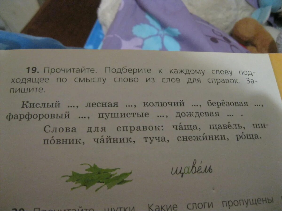 Щавель найти слова. Слова для справок 2 класс. Прочитайте подберите к каждом. Слова для справок 2 класс к слову кислый. Слова по смыслу Лесная.