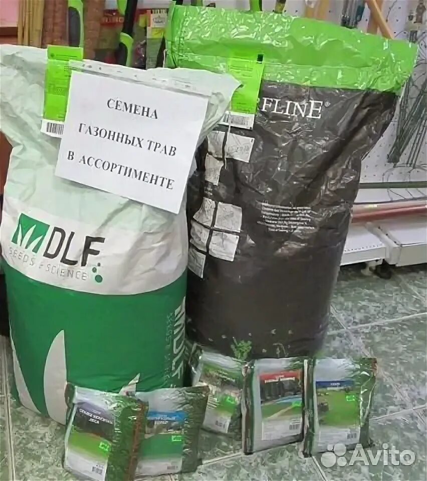 Авито семена трав. Мешок семян для газона. газон в мешках. газонная трава семена. семена газонных трав в мешках.