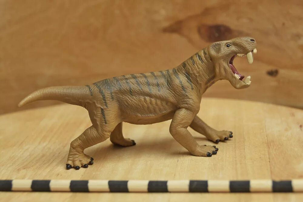 Зверозубый ящер переходная. Диногоргон Schleich. Schleich Диногоргон 15002. Dinogorgon rubidgei. Иностранцевия динозавр.