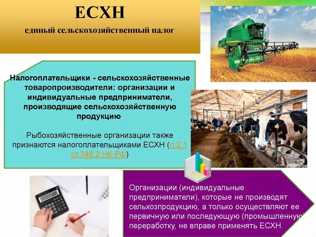 Единый сельскохозяйственный налог (ЕСХН). Единый сельскохозяйственный налог доклад. Единый сельскохозяйственный налог картинки. Единый сельскохозяйственный налог презентация. Применение единого сельскохозяйственного налога