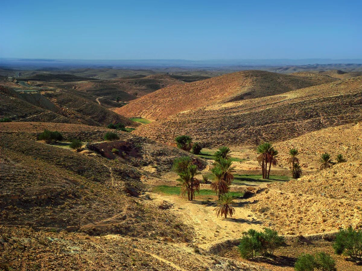 Тунис горы атлас. Атласские горы тунис. Рельеф туниса. Природа тунис телль. Тунис горы атлас.